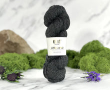 Load image into Gallery viewer, Coalpit Black Lowland DK Yarn