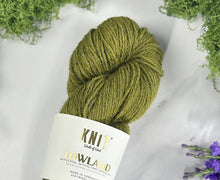 Load image into Gallery viewer, Thyme Green Lowland DK Yarn