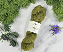 Load image into Gallery viewer, Thyme Green Lowland DK Yarn