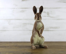 Load image into Gallery viewer, "Romeo The Rabbit" Needle Felting Kit