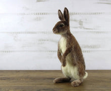 Load image into Gallery viewer, "Romeo The Rabbit" Needle Felting Kit
