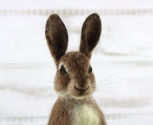 Load image into Gallery viewer, "Romeo The Rabbit" Needle Felting Kit